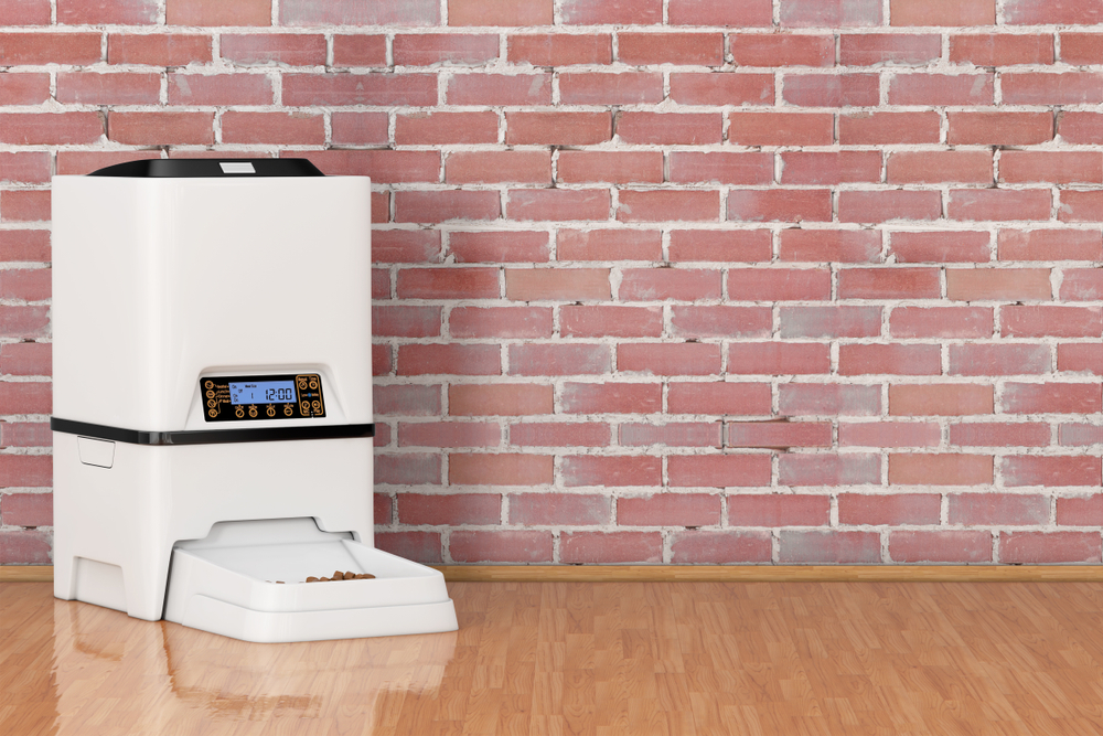 Smart Gadgets For Your Dog